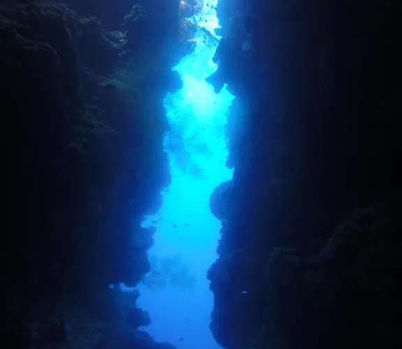 ホームステイ Biorock & Dive Center ペムテラン