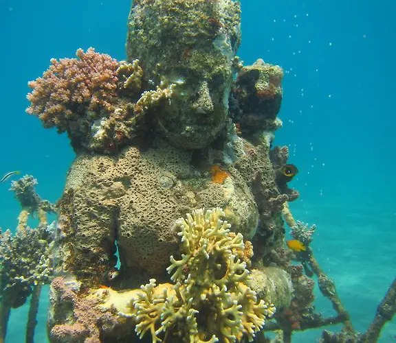 Biorock & Dive Center