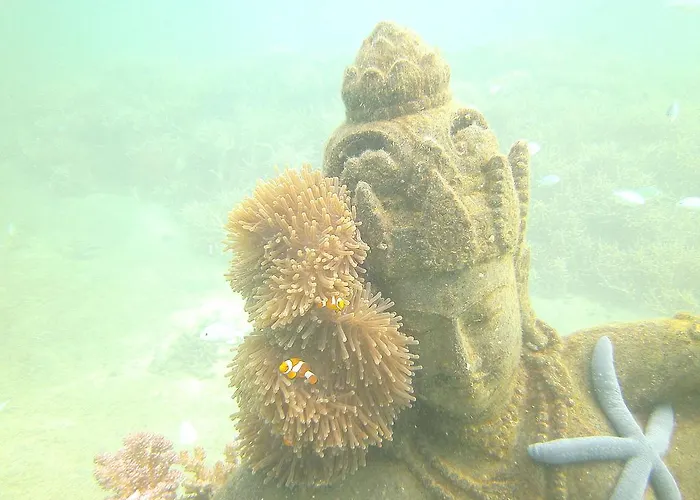 ホームステイ Biorock & Dive Center ペムテラン