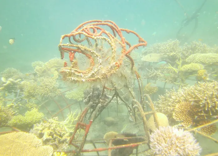 ホームステイ Biorock & Dive Center *