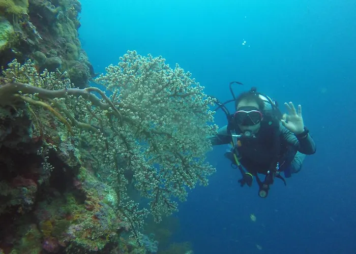 Biorock & Dive Center ペムテラン