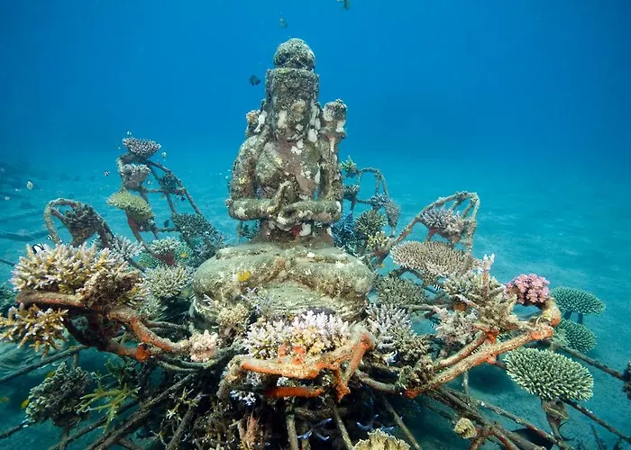ホームステイ Biorock & Dive Center ペムテラン