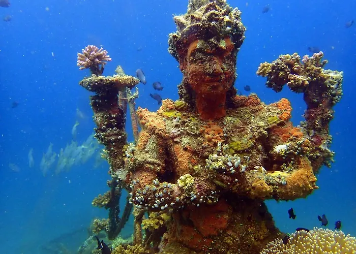 Biorock & Dive Center *